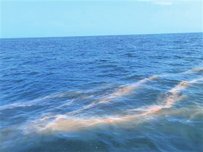 2月15日，海面上的红色漂浮物非常醒目。北海海洋环境监测中心站供图
